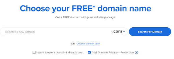 choose a domain name