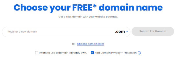 choose a domain name